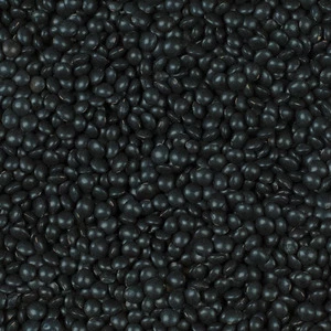 Beluga 加拿大黑扁豆 25 公斤 - Legumor