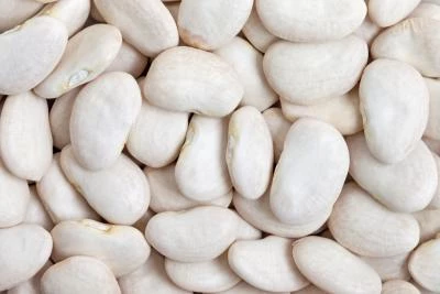 Green Lima Bean Usa 25kg - Legumor