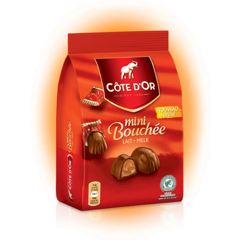 Chocolat mini bouchées lait 122g - COTE D'OR