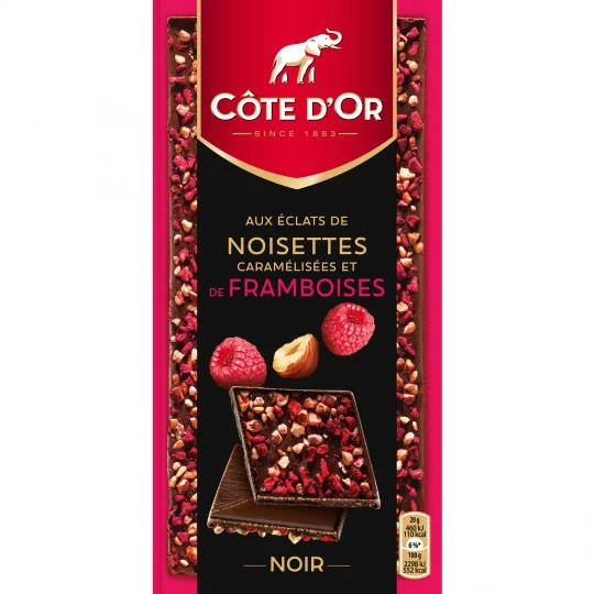 Dark chocolate bar with hazelnuts and raspberries 100g - COTE D'OR