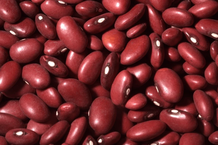 Red Beans 5kg - Legumor