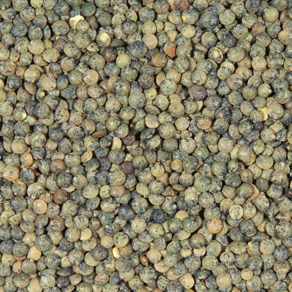 Lentilles Vertes 10kg - Legumor