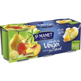 Fruits in flavored light syrup 3x212g - ST MAMET