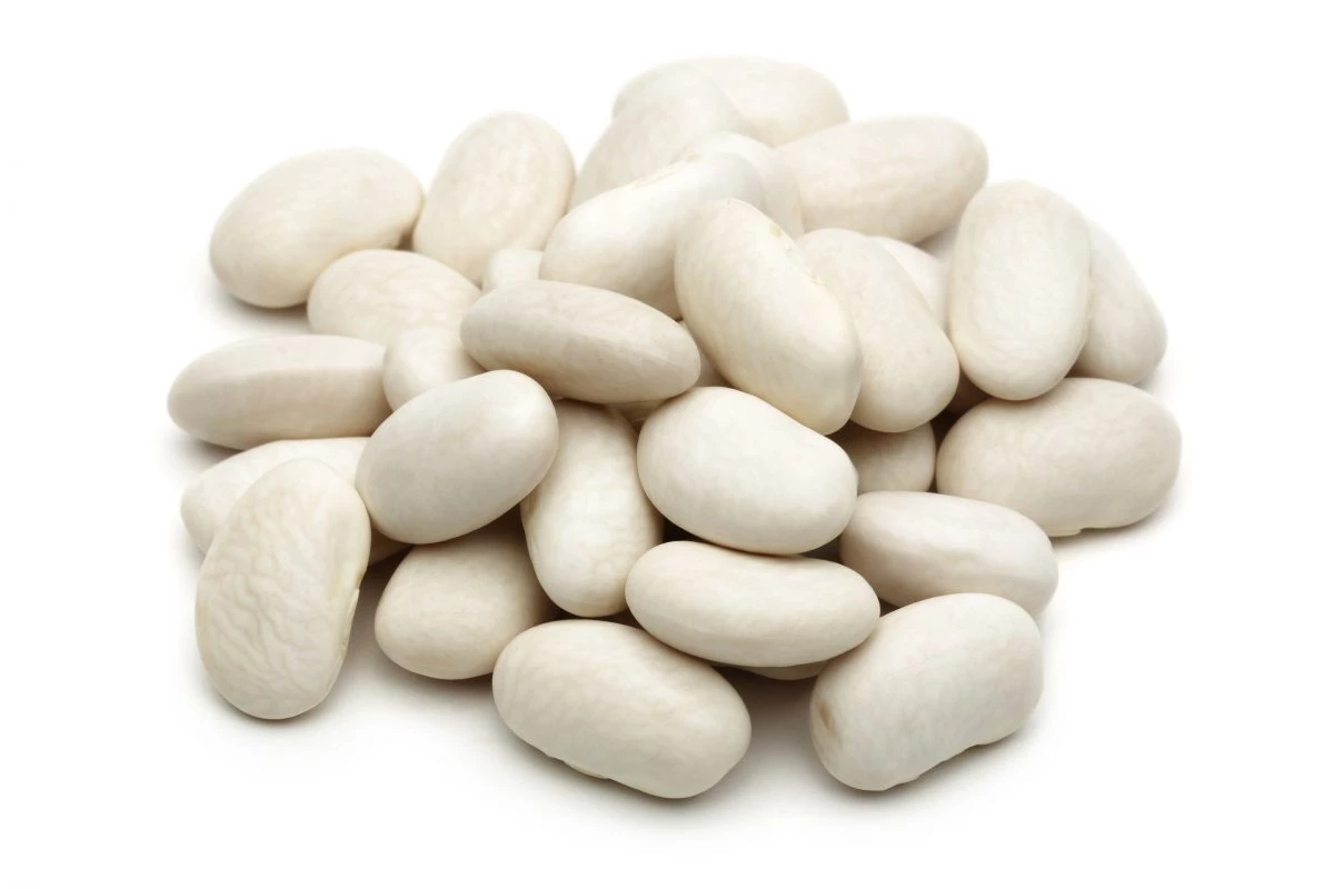 ホワイトココナッツ 500g - Legumor