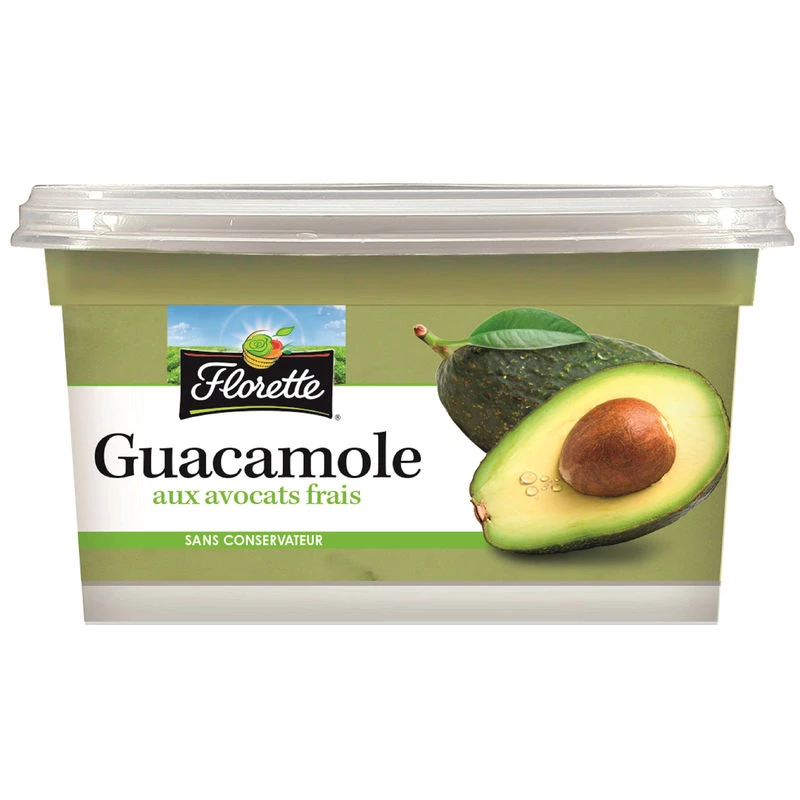 Fresh Avocado Guacamole 17