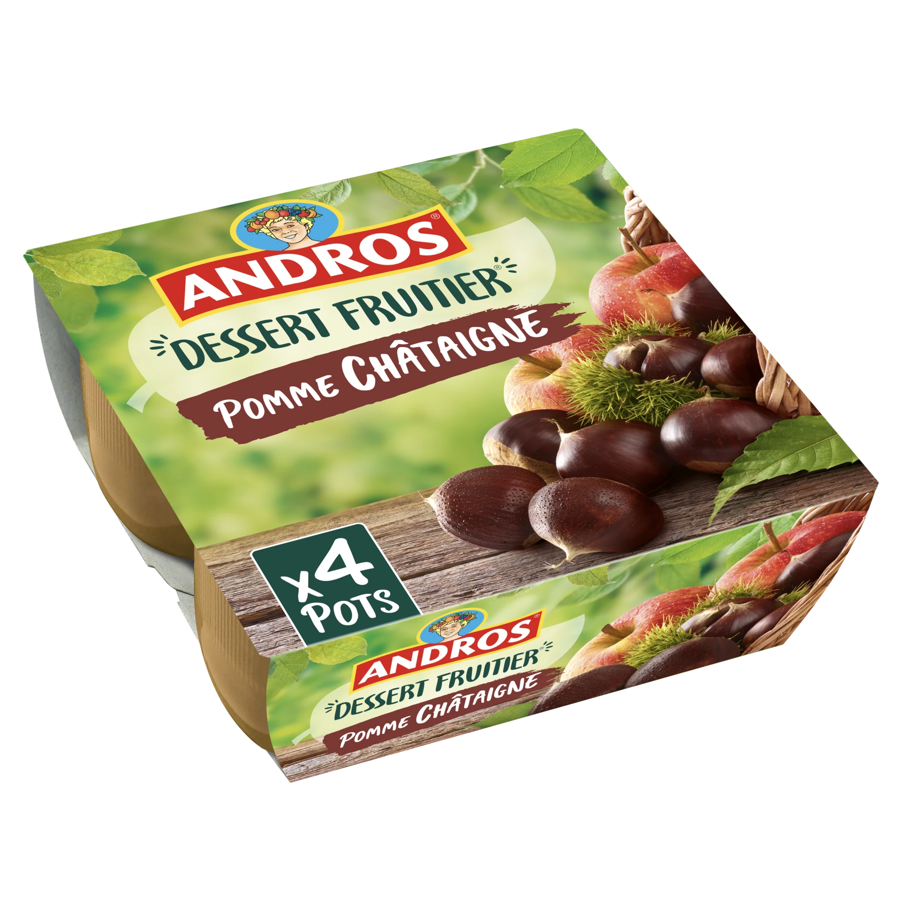 Andros Apple Chestnut 4x100g