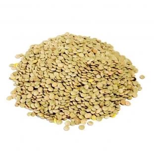 Blonde lentils 6mm 25kg - Legumor