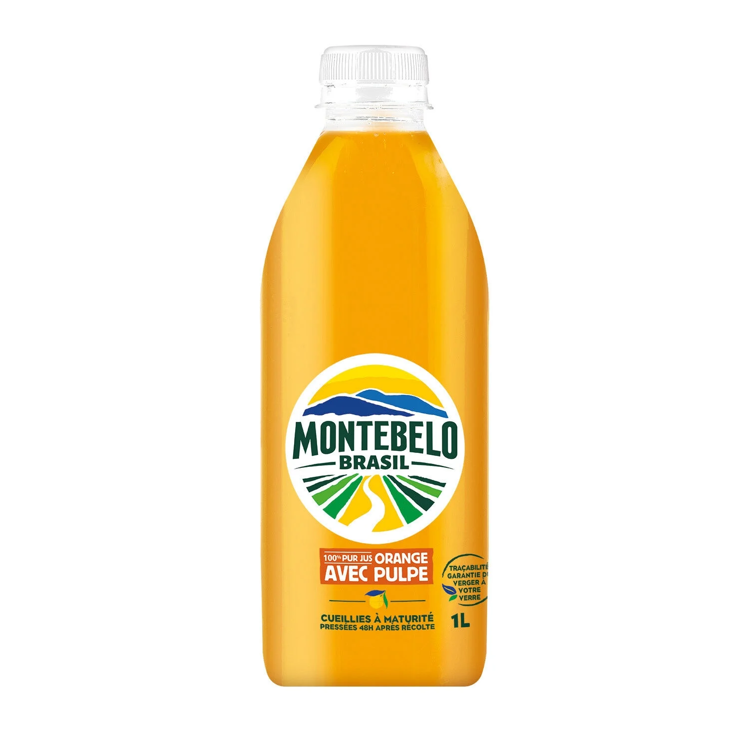 1l Orange Pulpe Montebelo