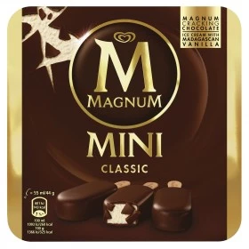 Mini glaces classic x6 - MAGNUM