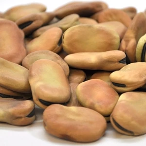 Bolivia beans 11/13 25kg - Legumor