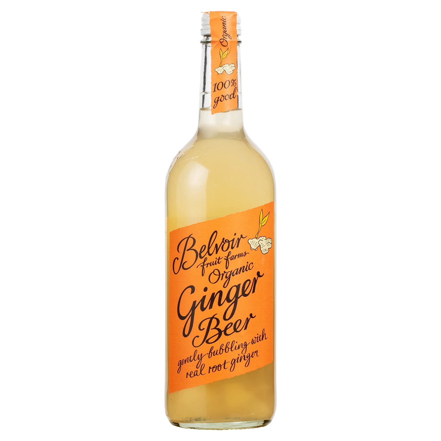 Ginger Beer 25cl - BELVOIR FARM