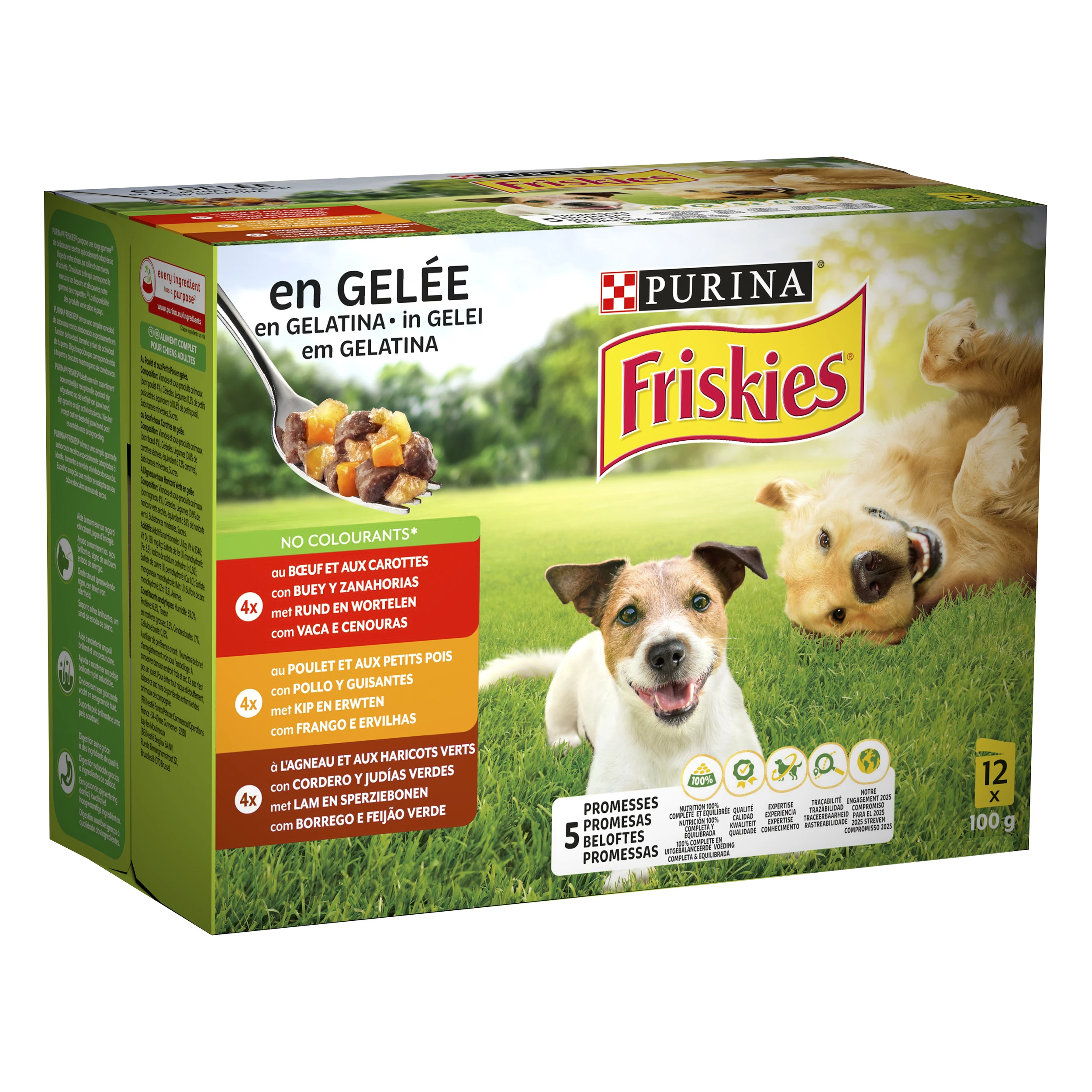 Friskies Chien 12x100g And Yellow