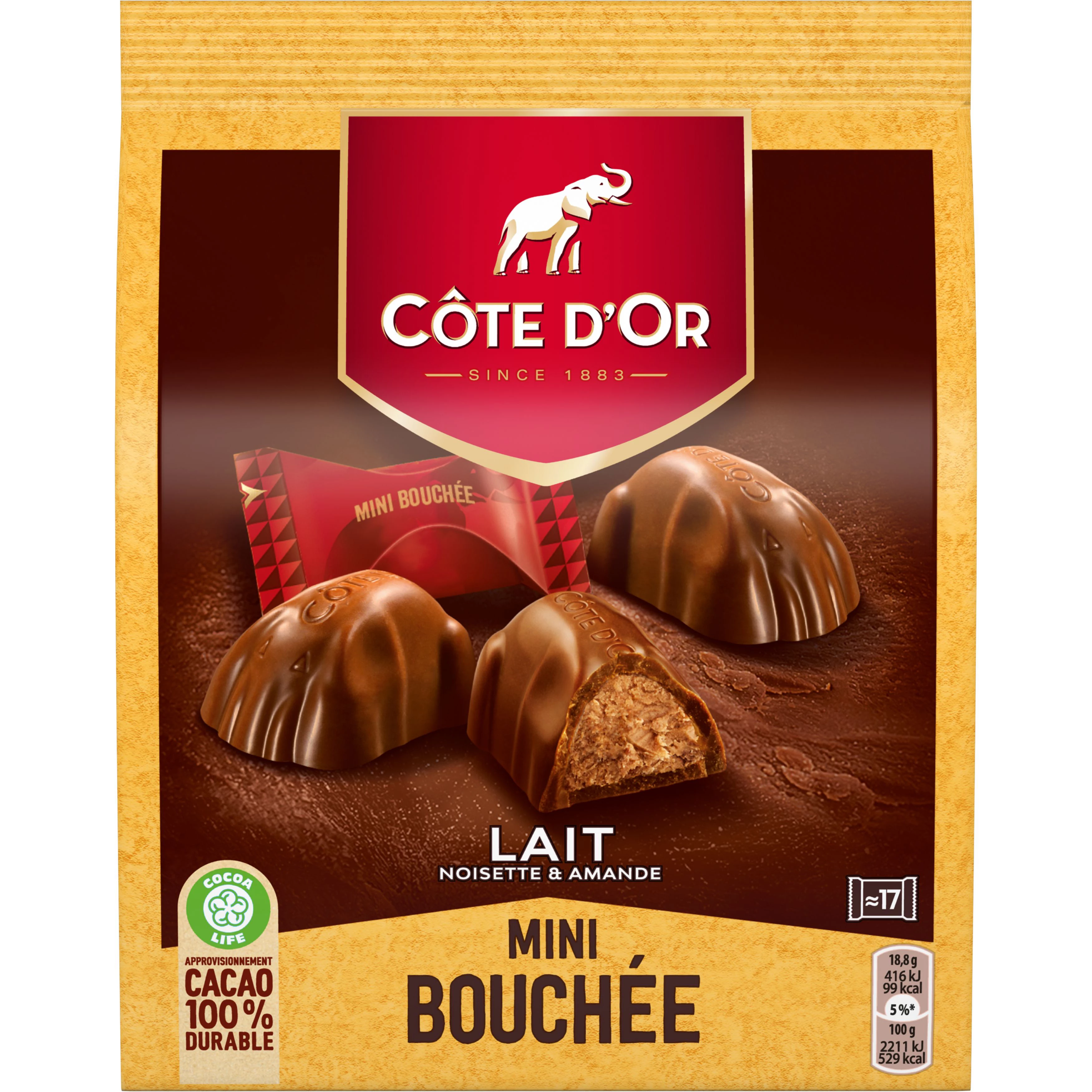 Mini Milk Chocolate Bites 158g - COTE D'OR