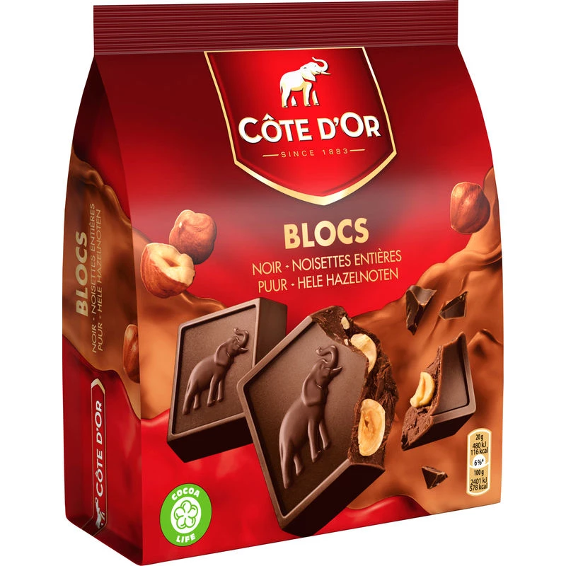 Dark chocolate with hazelnuts 200g - CÔTE D'OR
