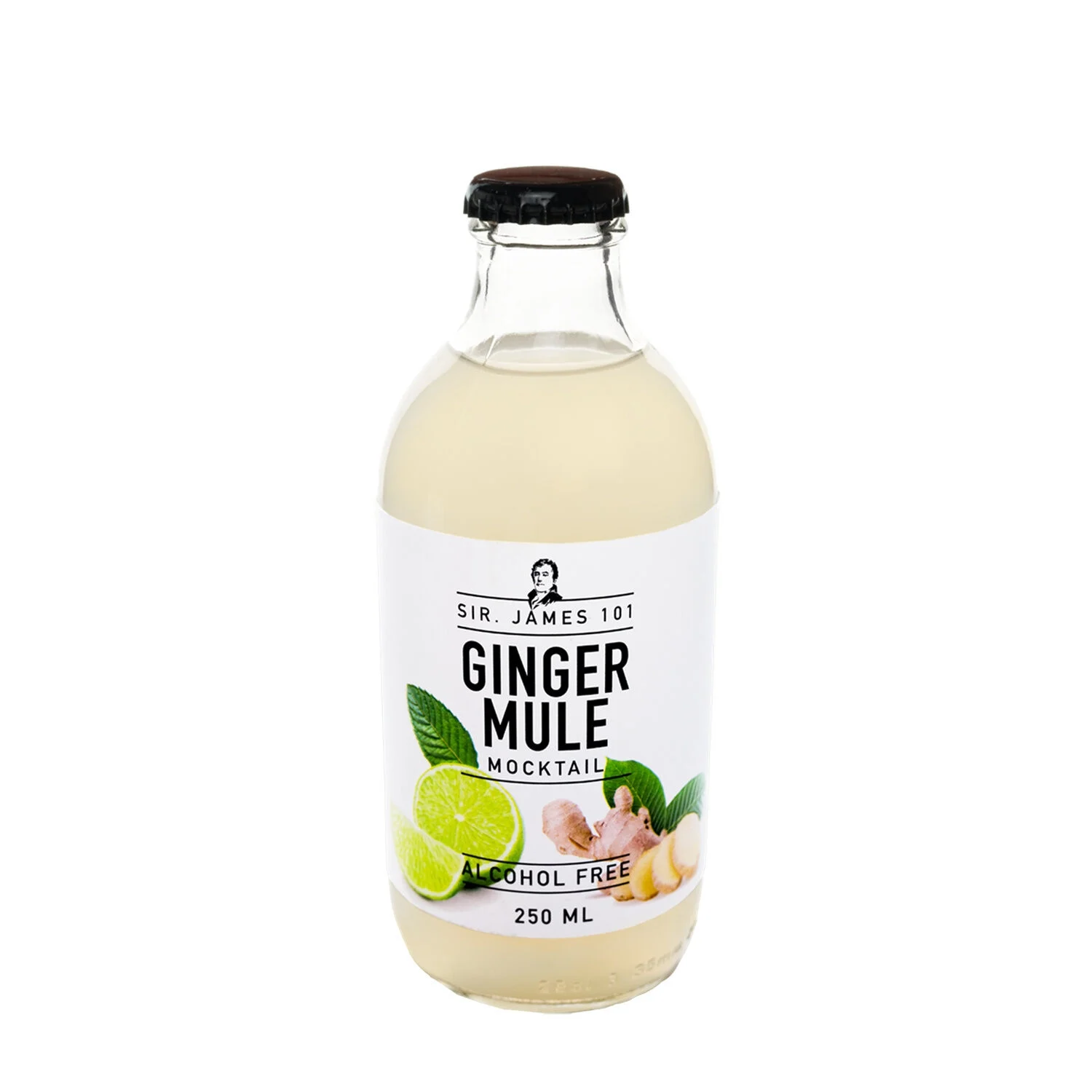 Cocktail Ginger Mule Sans Alcool 25cl - Sir James 101