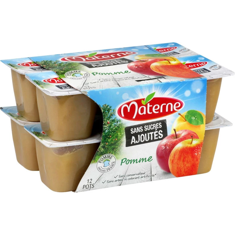 Compote Pomme Ssa 12x100g